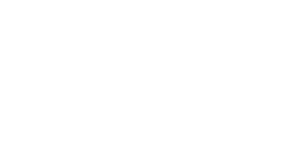 Writer
